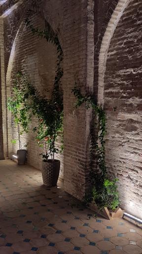 عکس هتل بوتیک صارم الدوله (ونوشک)