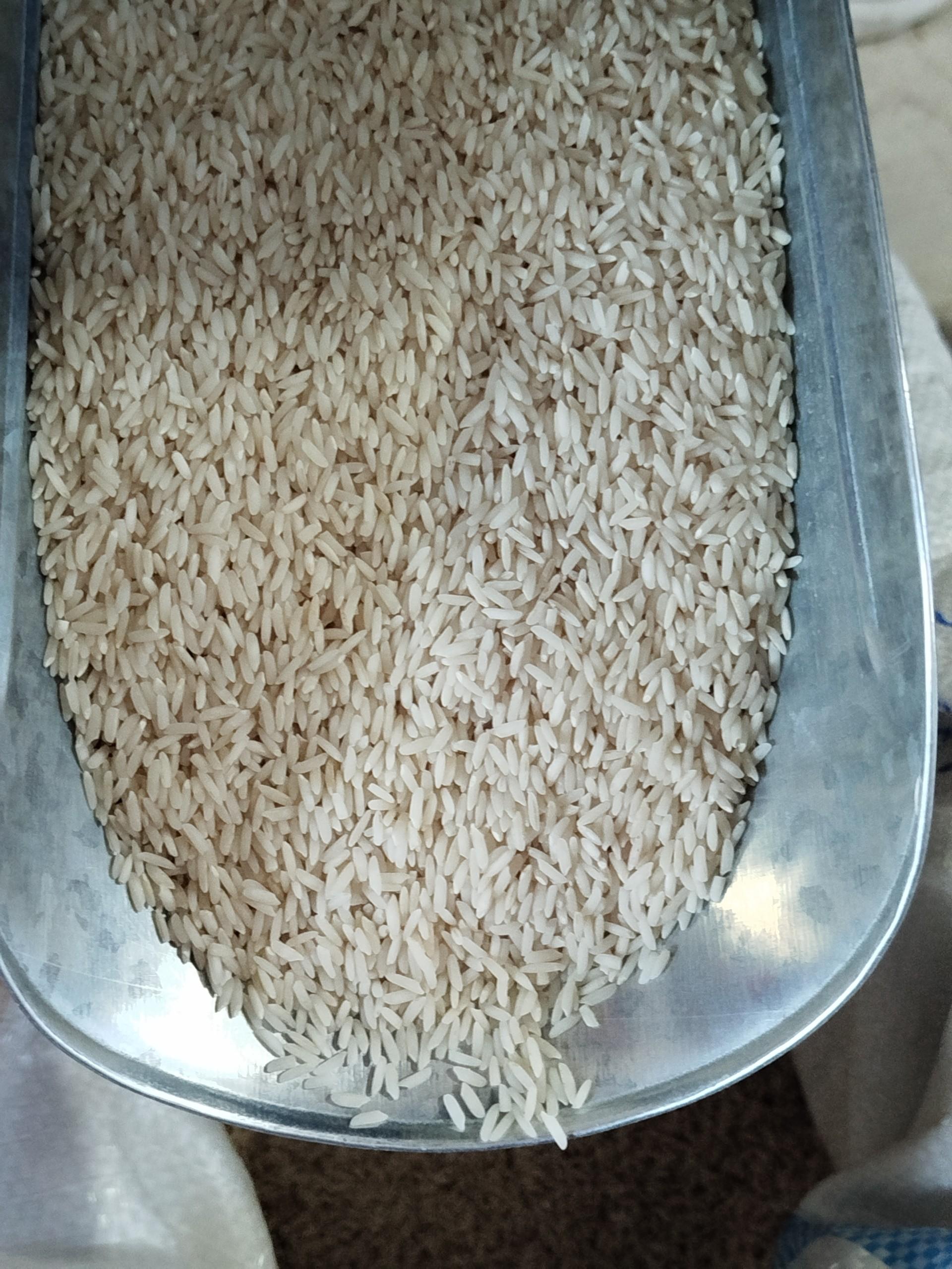 عکس کارخانه سورتینگ برنج حاج همت 