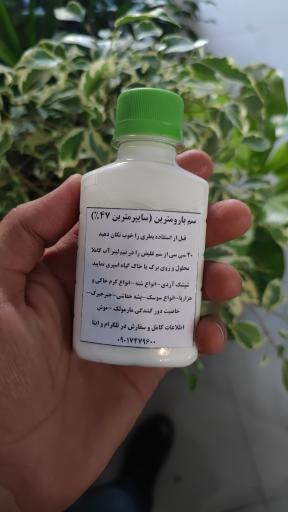 عکس گلخانه باران