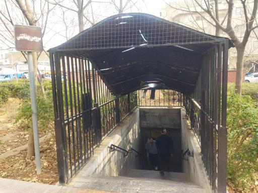 عکس بوستان دامپزشک