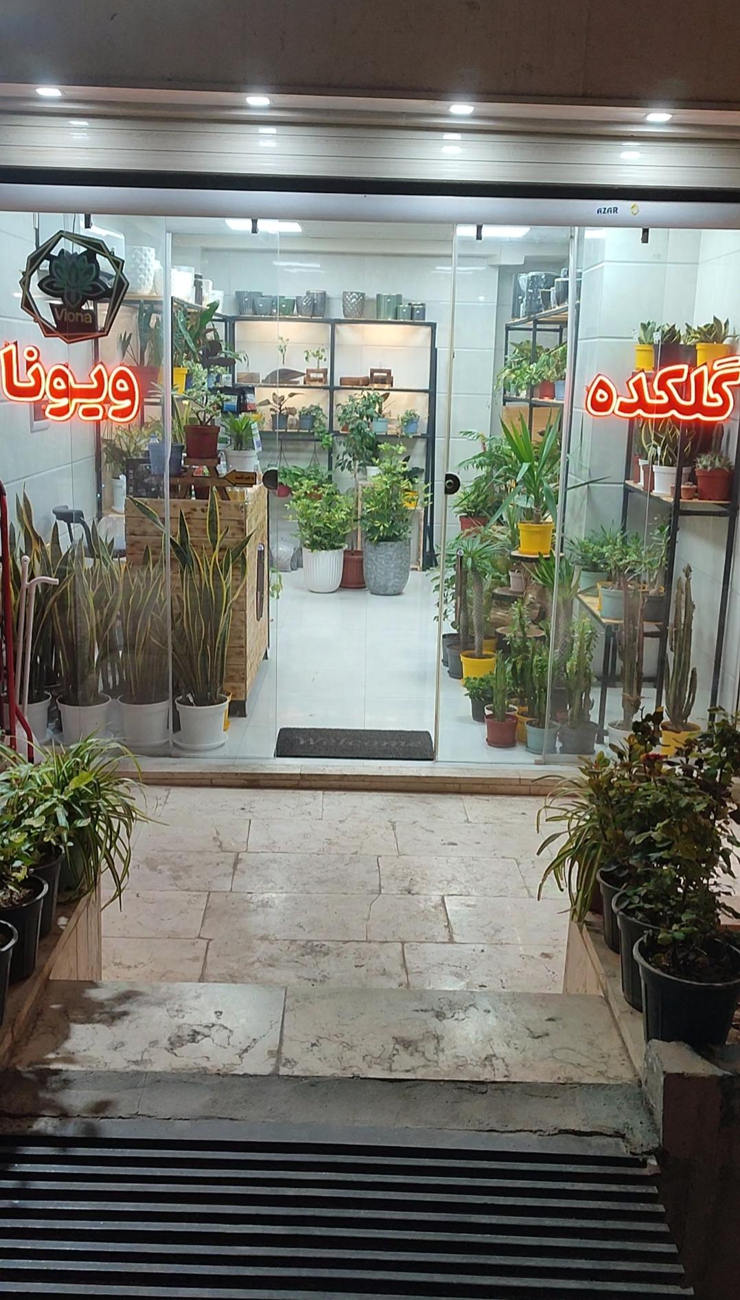 عکس گلکده ویونا