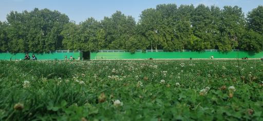 عکس زمین فوتبال پارک ملت