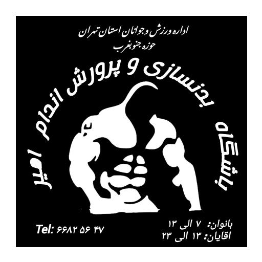 عکس باشگاه بدنسازی. امیر