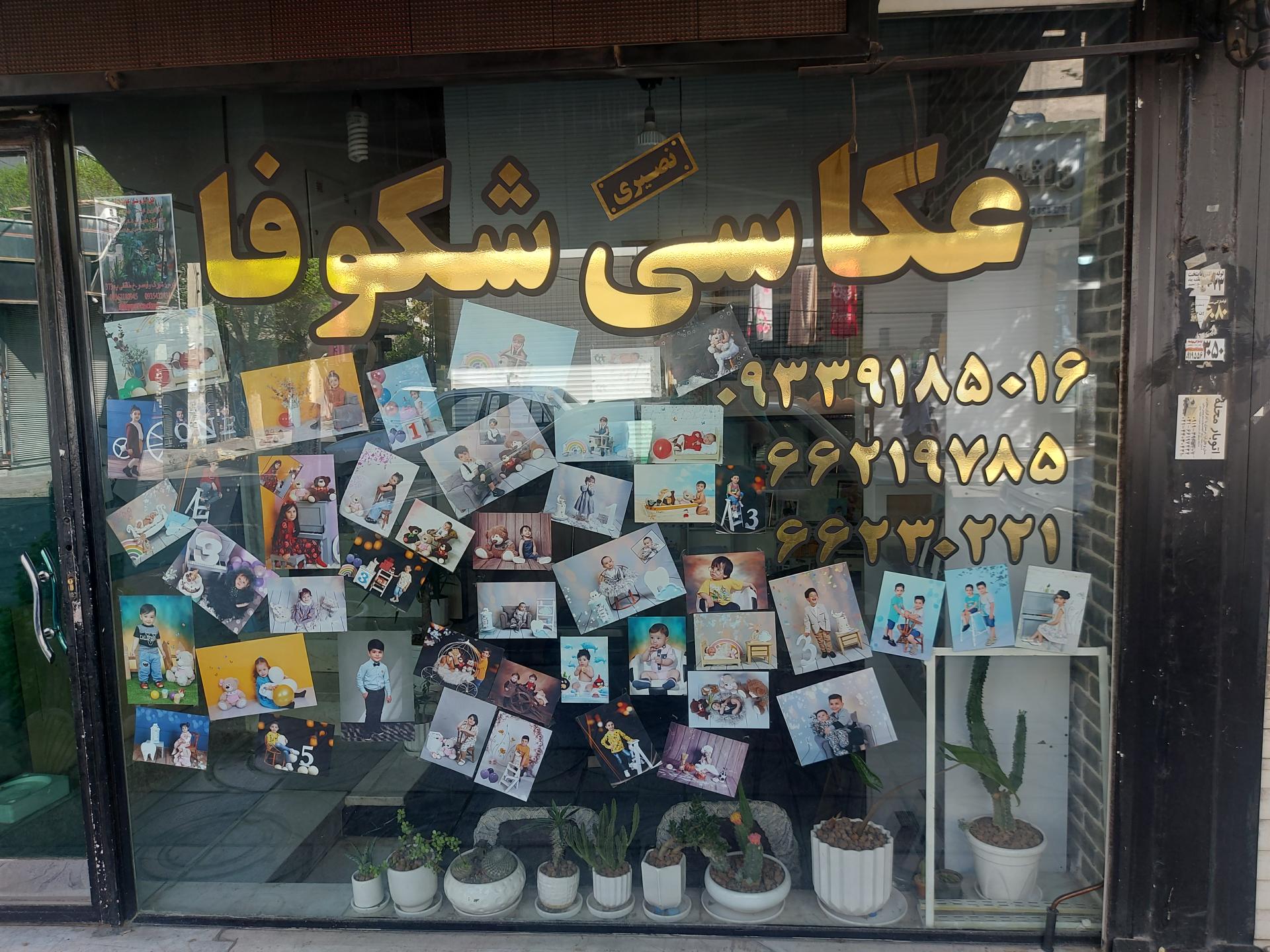 عکس عکاسی شکوفا