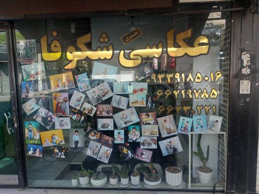 عکس عکاسی شکوفا