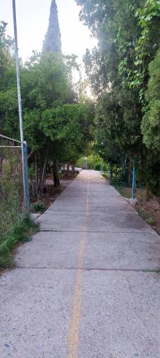 عکس دانشگاه فرهنگیان پردیس شهیدان پاکنژاد