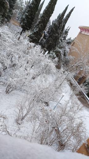 عکس دانشگاه فرهنگیان پردیس شهیدان پاکنژاد