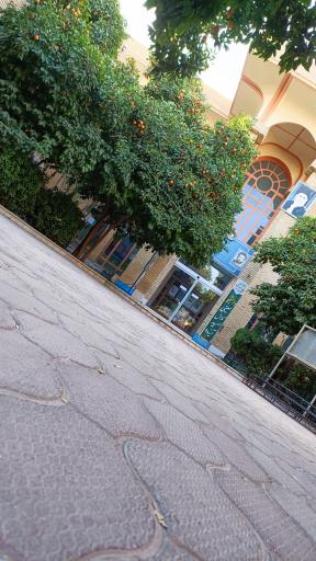 عکس دانشگاه فرهنگیان پردیس شهیدان پاکنژاد