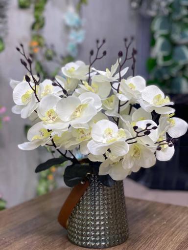 عکس گالری ترنم هوم