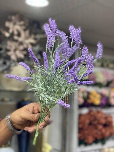 عکس گالری ترنم هوم