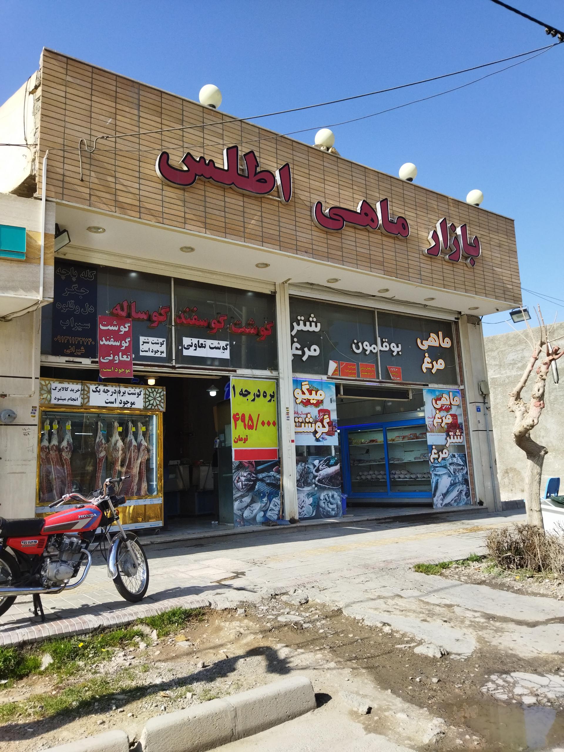 عکس ماهی و مرغ اطلس