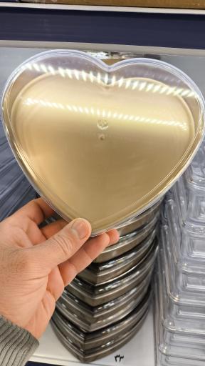 عکس ایران پلاست