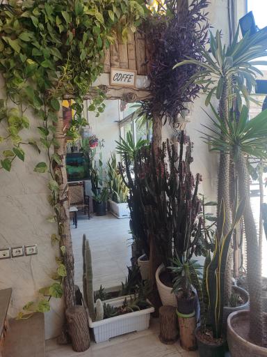 عکس کافی شاپ دایی