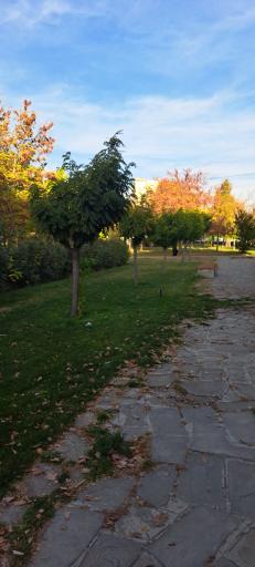 عکس بوستان قائم