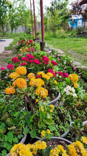 عکس اقامتگاه بومگردی تلارخانه بردبار