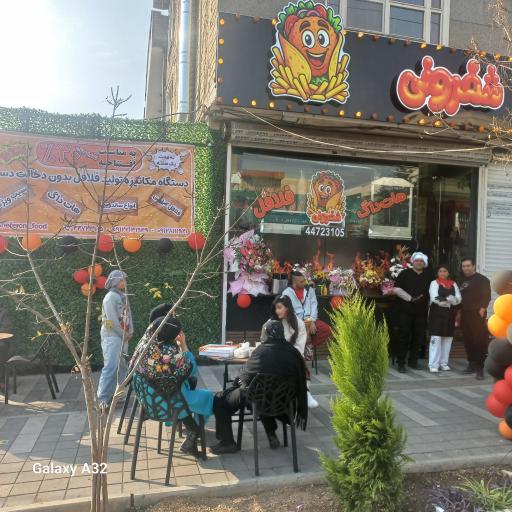 عکس فلافل شفرونی