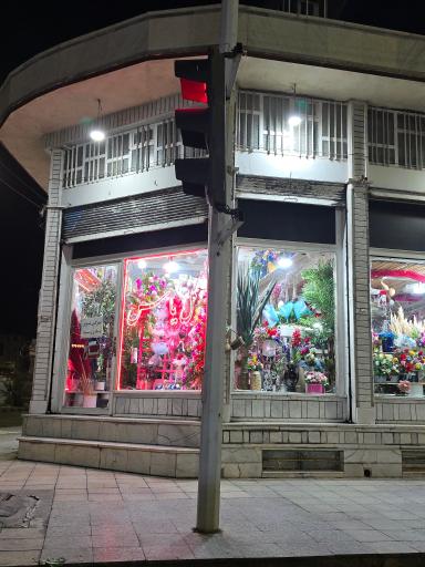 عکس گل فروشی یاس