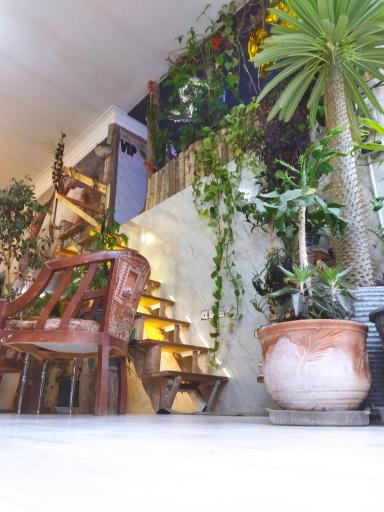 عکس کافی شاپ دایی