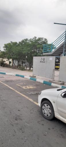 عکس قالیشویی