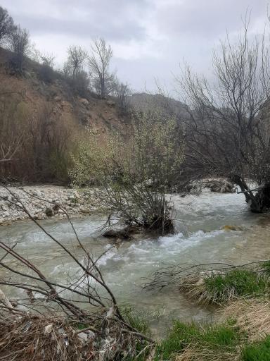 عکس منطقه حفاظت شده آبشار مارگون