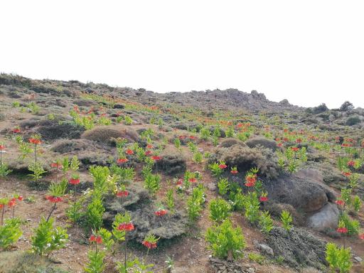 عکس منطقه حفاظت شده آبشار مارگون
