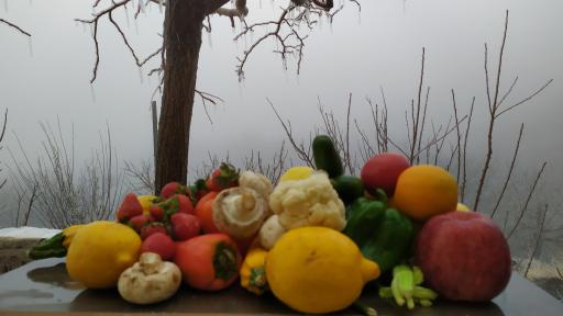 عکس باغ و رستوران هفت خوان