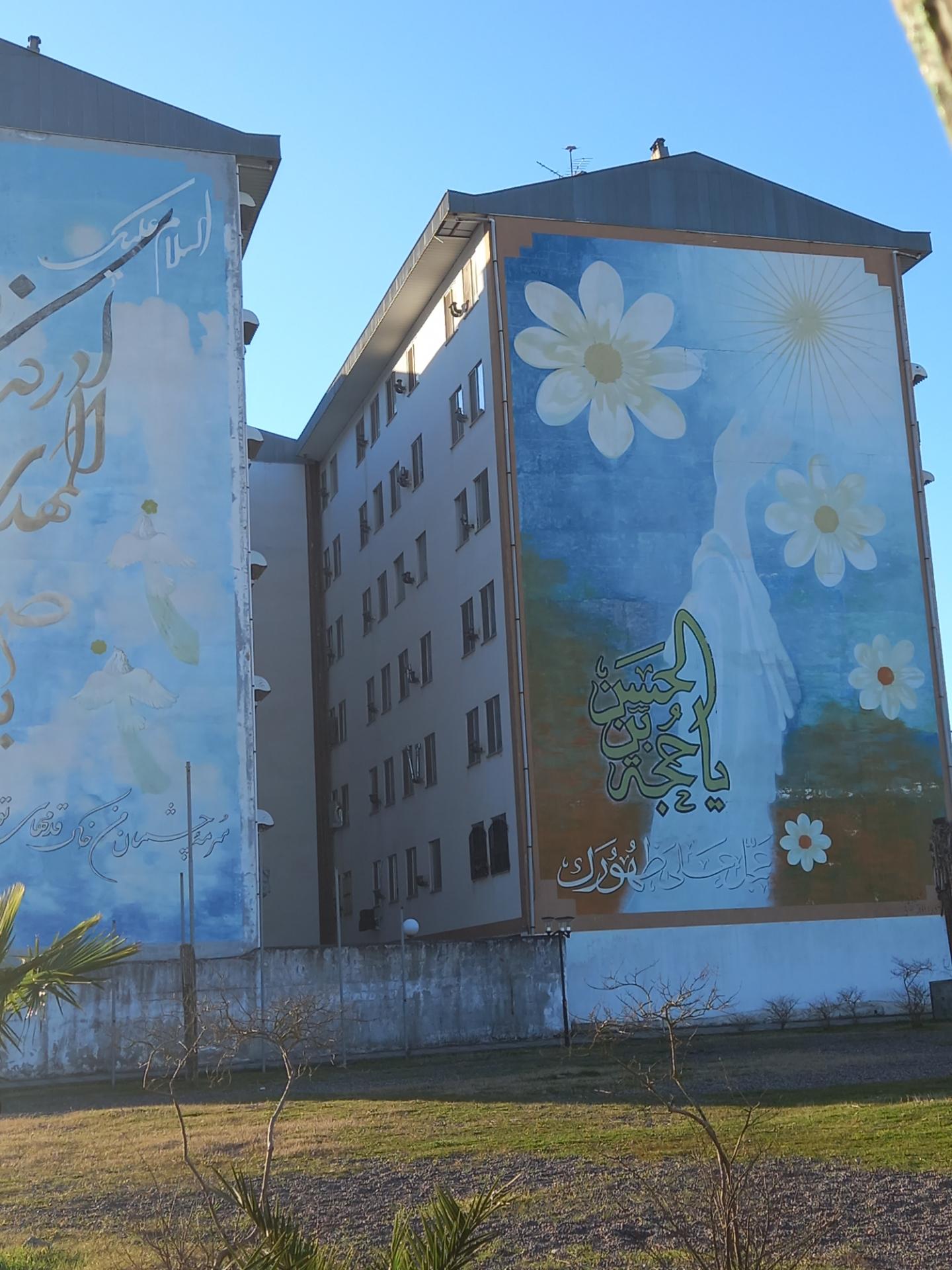 عکس مجتمع گل نرگس