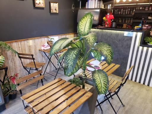 عکس کافه ایلدا