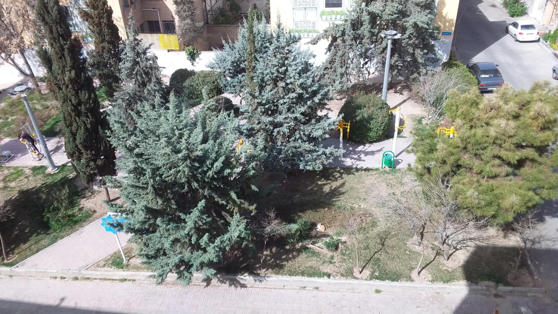 عکس  بوستان فرهنگ و ادب