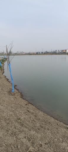 عکس آب بندان خشکرود