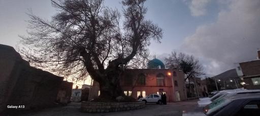 عکس امامزادگان عین علی و زین علی