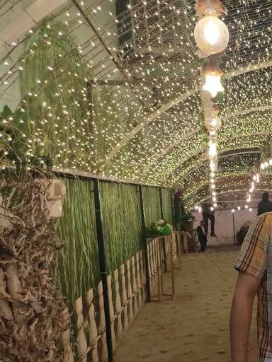 عکس تالار ارکیده پارس آباد 