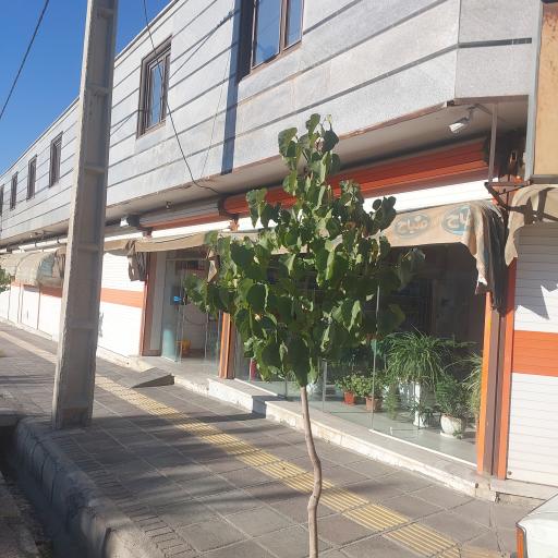 عکس پخش مواد غذایی برادران ورمزیار