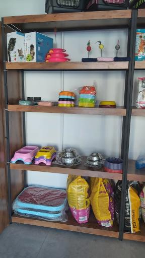 عکس پت شاپ و ملزومات حیوانات خانگی کیتی مون