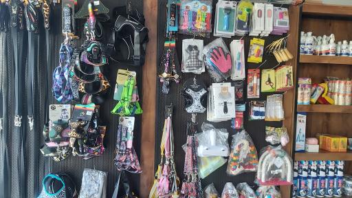 عکس پت شاپ و ملزومات حیوانات خانگی کیتی مون