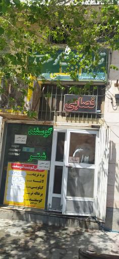 عکس قصابی افضلی