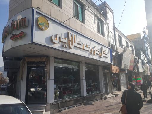 عکس گل مزرعه طلایی