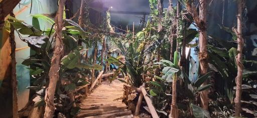 عکس مجموعه تفریحی سفر به دور دنیا