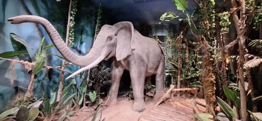 عکس مجموعه تفریحی سفر به دور دنیا