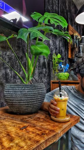 عکس فرا قهوه