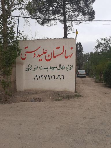 عکس گلخانه علیدوستی