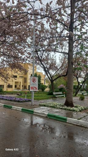 عکس فضای سبز دانشکده کشاورزی