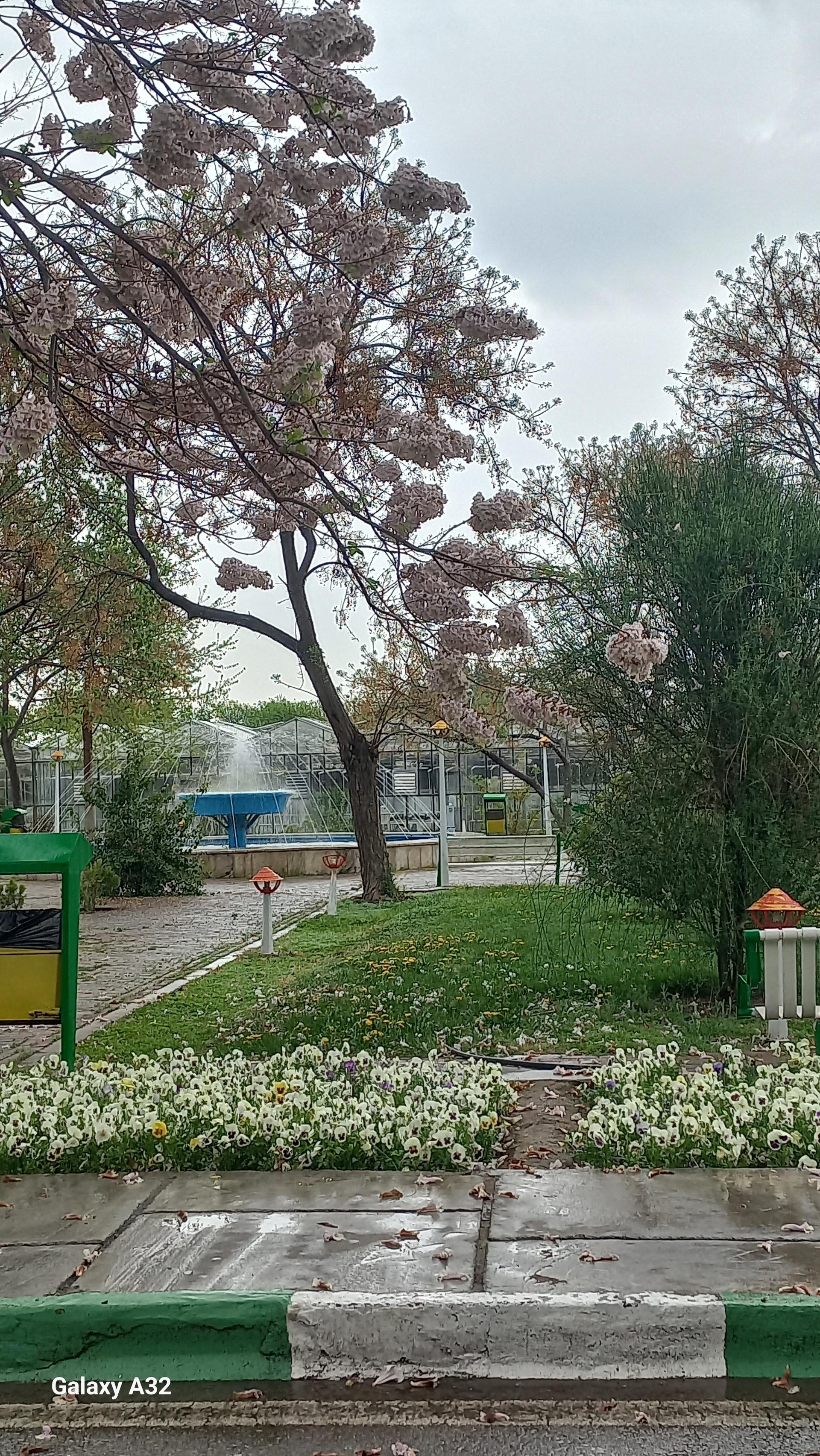 عکس فضای سبز دانشکده کشاورزی