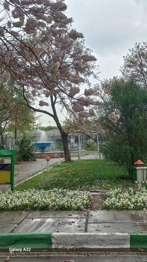 عکس فضای سبز دانشکده کشاورزی
