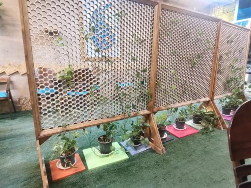 بستنی فالوده همایون