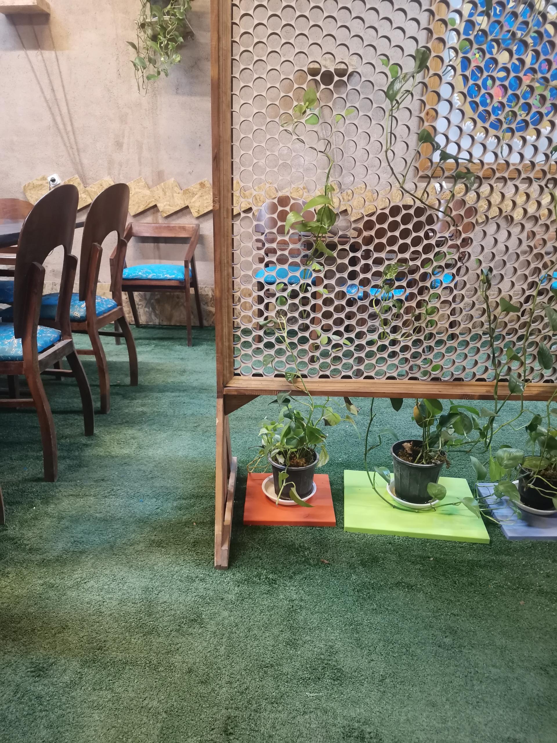عکس بستنی فالوده همایون