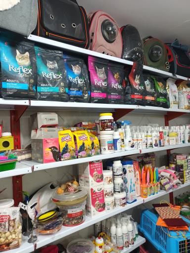 عکس کیلینیک دامپزشکی و پت شاپ حامی