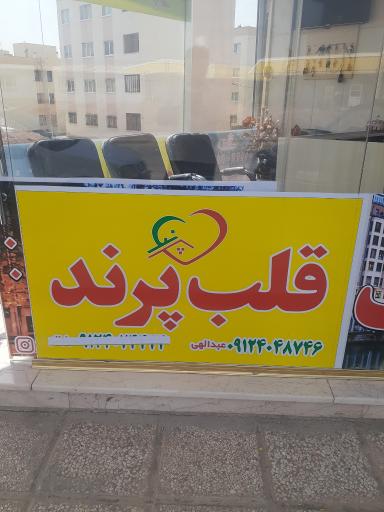 عکس مشاور املاک قلب پرند (عبدالهی)