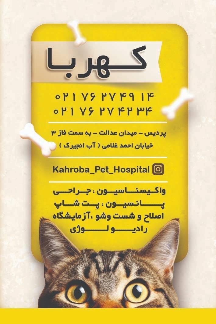 عکس بیمارستان دامپزشکی کهربا