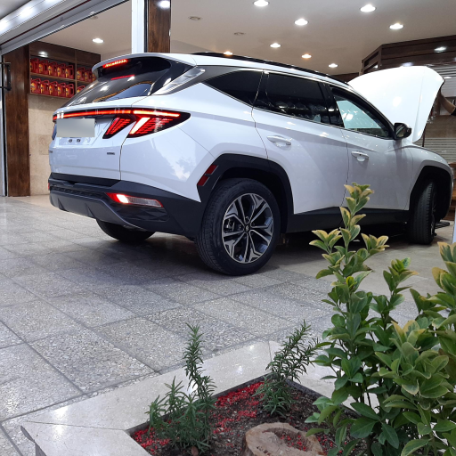 عکس اتوسرویس تخصصی آریانا